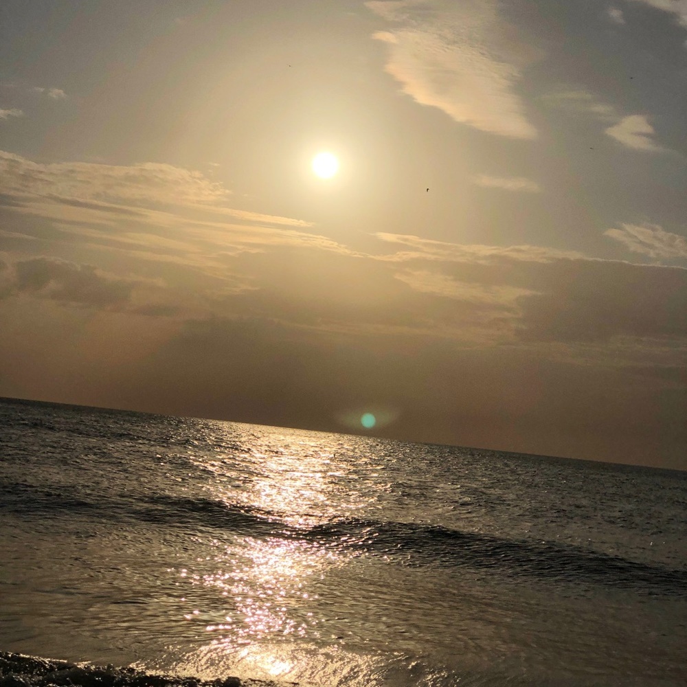 Meet your Posher, Devon